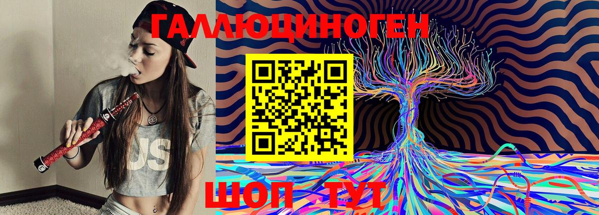 Дубна  Галлюциногенные грибы Psilocybine cubensis  Вход с VPN  Псилоцибиновые грибы мицелий 